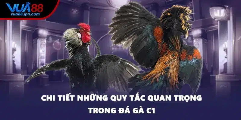 Chi tiết những quy tắc quan trọng trong đá gà C1