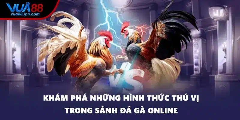 Khám phá những hình thức thú vị trong sảnh đá gà online