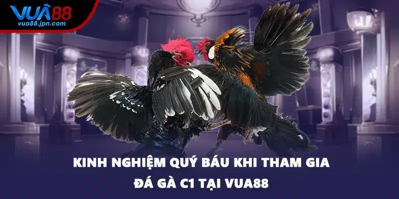 Kinh nghiệm quý báu khi tham gia đá gà C1 tại VUA88