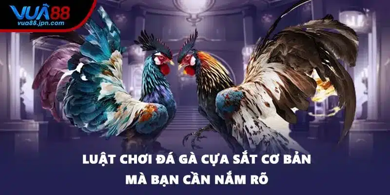 Luật chơi đá gà cựa sắt cơ bản mà bạn cần nắm rõ