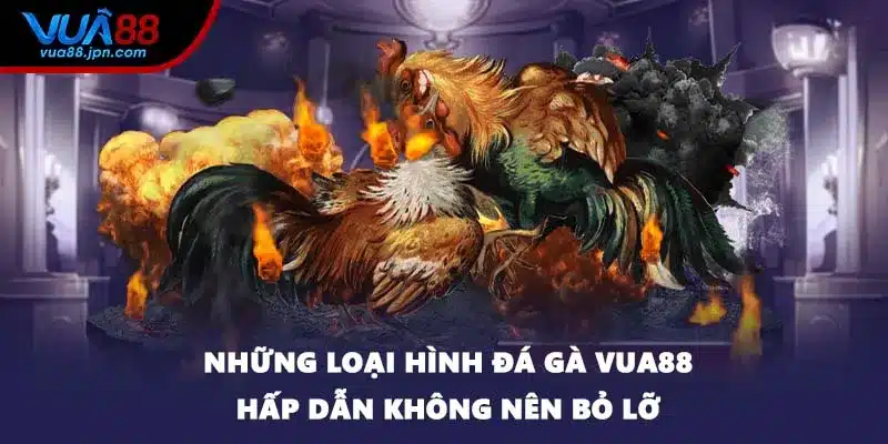 Những loại hình đá gà VUA88 hấp dẫn không nên bỏ lỡ