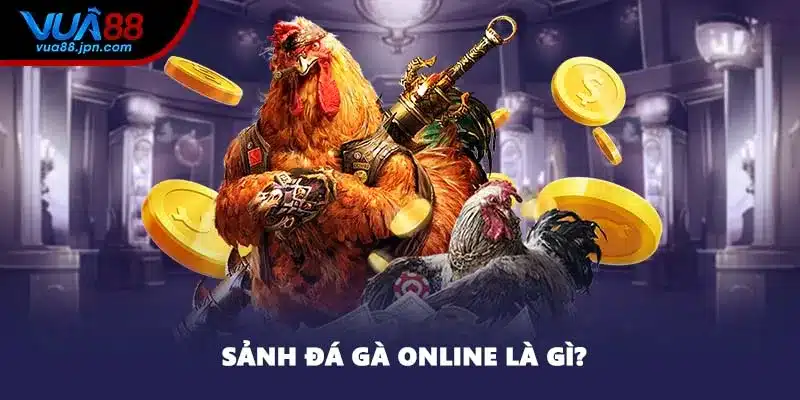 Sảnh đá gà online là gì?