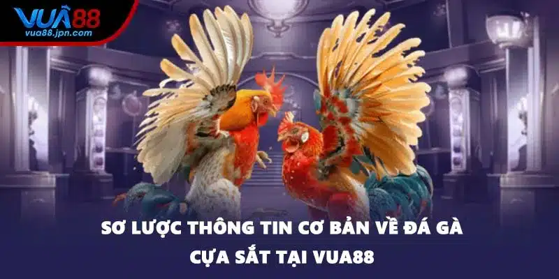 Sơ lược thông tin cơ bản về đá gà cựa sắt tại VUA88