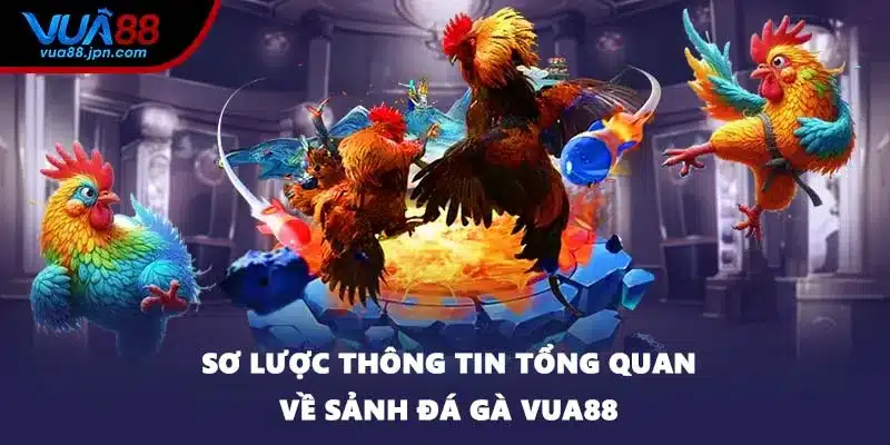 Sơ lược thông tin tổng quan về sảnh đá gà VUA88
