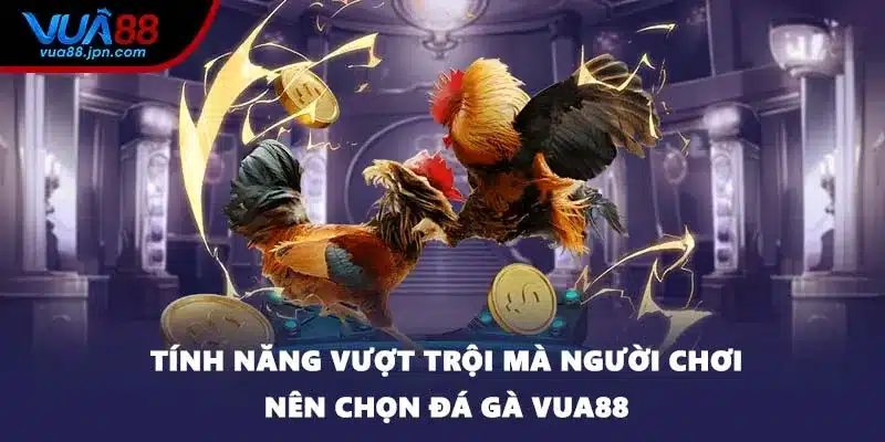 Tính năng vượt trội mà người chơi nên chọn đá gà VUA88
