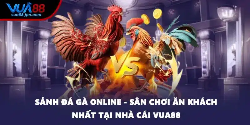 Sảnh Đá Gà Online - Sân Chơi Ăn Khách Nhất Tại Nhà Cái VUA88