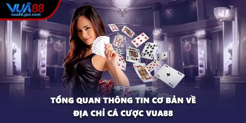 Tổng quan thông tin cơ bản về địa chỉ cá cược VUA88